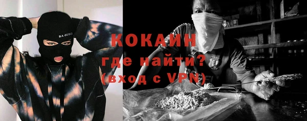 твердый Гусев