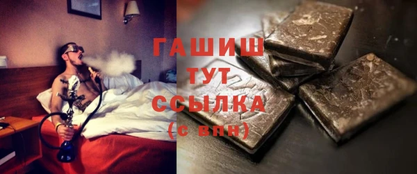 твердый Гусев