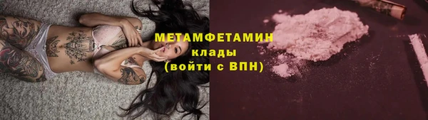 твердый Гусев