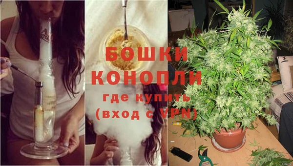 твердый Гусев