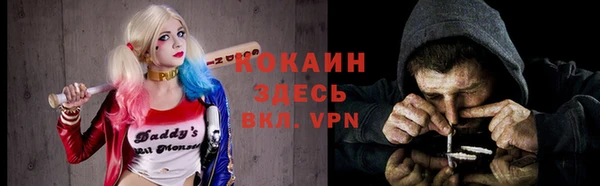 твердый Гусев
