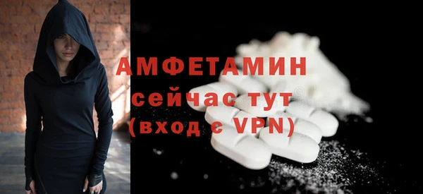 твердый Гусев