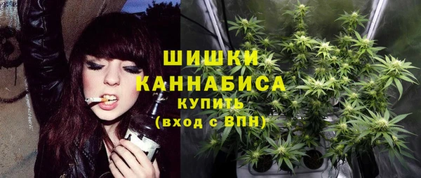 не бодяженный Гусь-Хрустальный