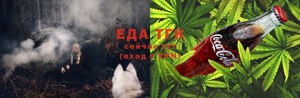 твердый Гусев