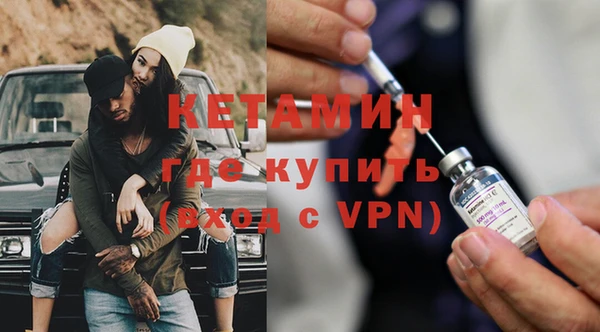твердый Гусев